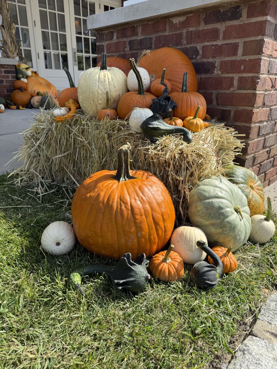 The Estate: pumpkins and gourds on a hay bale against a brick corner