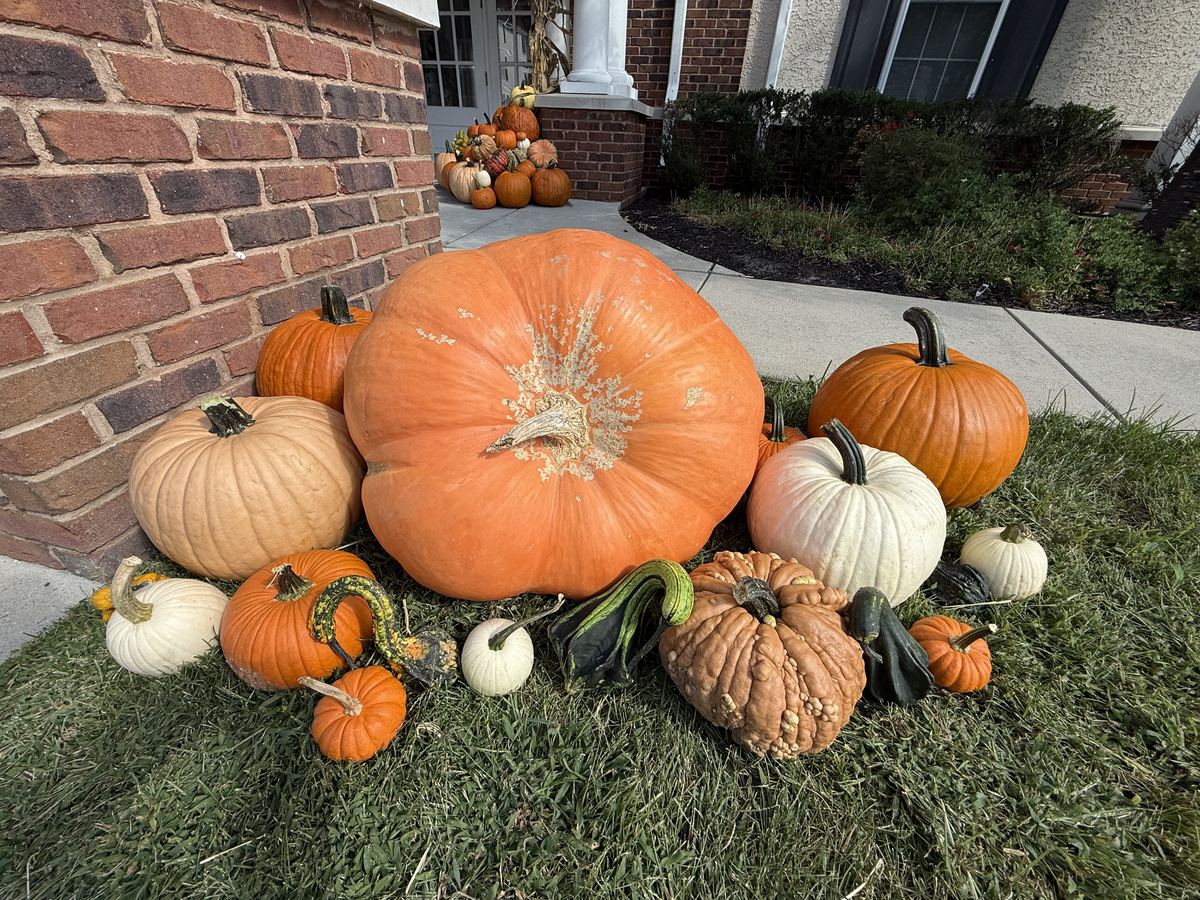 The Estate: a giant pumpkin with whites and heirlooms on the lawn beside a brick pier