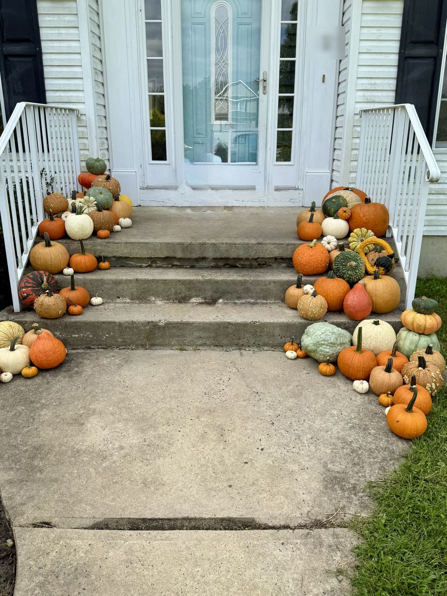 The Kings Highway: heirloom pumpkins lining both sides of front steps up to a blue door