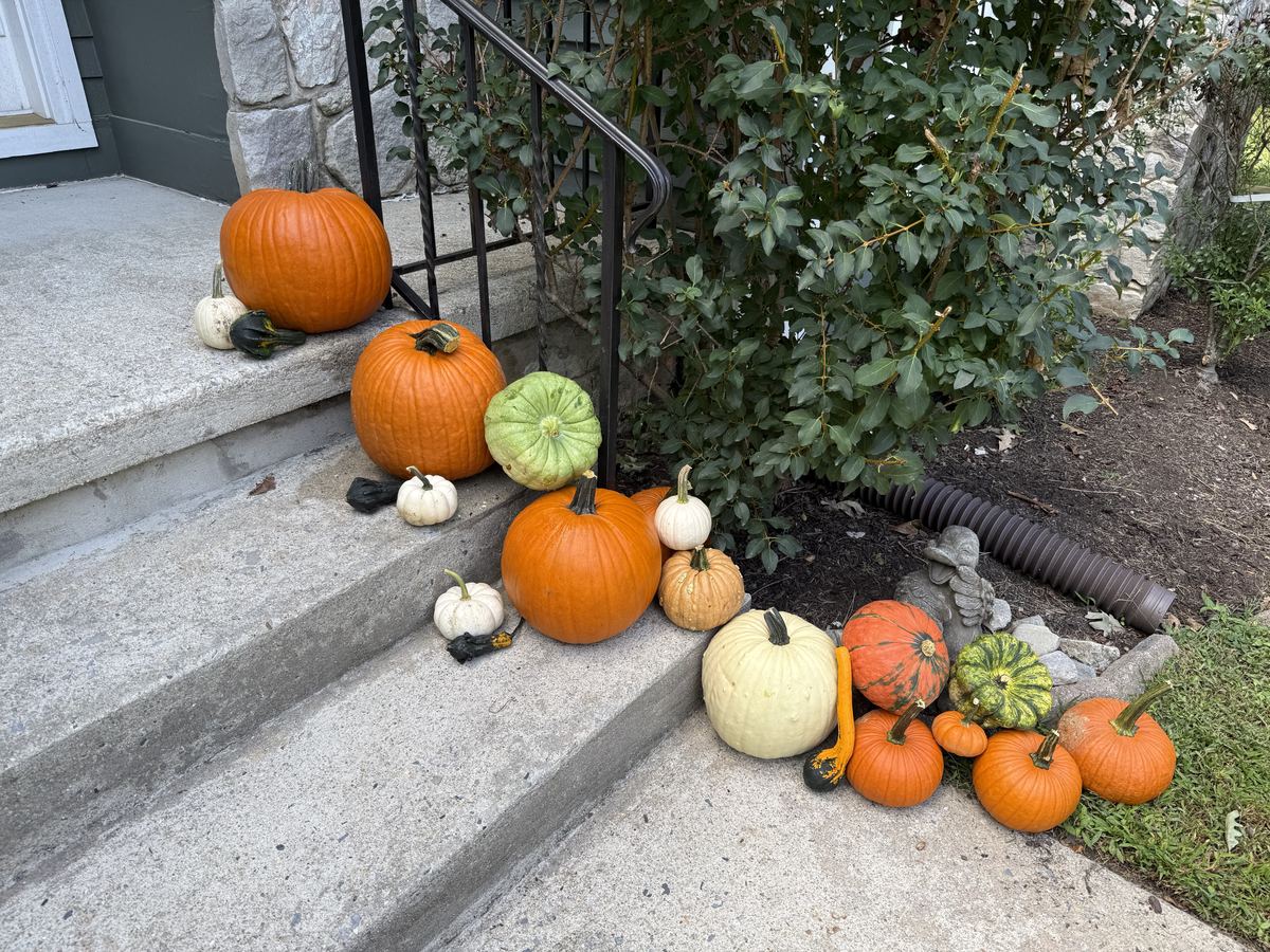 Main St.: pumpkins and minis stepping down a front stoop beside a railing