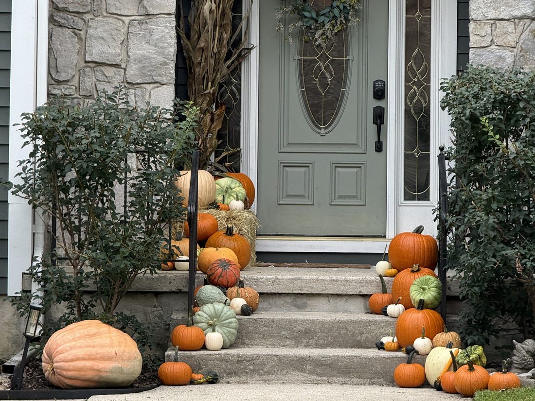 Grove St. package styled on a front stoop: pumpkins and heirlooms cascading down both sides of the steps, a hay bale and corn stalks beside the door