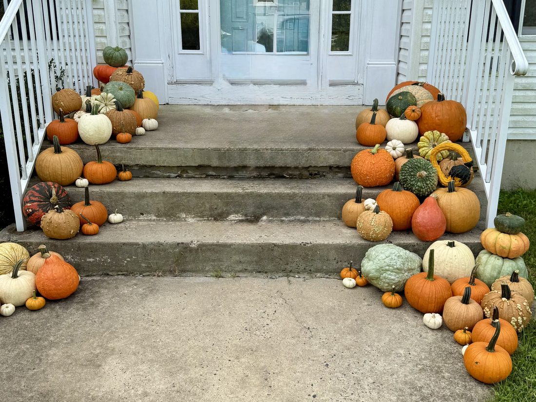 The Kings Highway package styled on a set of front steps: dozens of heirloom pumpkins in orange, cream, blue-green and warty varieties filling both sides of the stairs