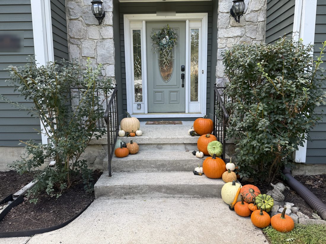 Main St. package styled on a customer's front steps: carving pumpkins, heirlooms and white minis on both sides of the stairs