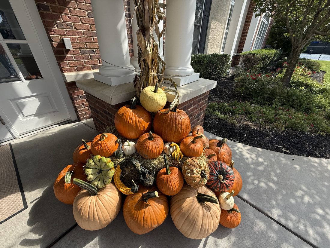 The Estate package installed at a columned entrance: a tall cascade of pumpkins, heirlooms and gourds around a column wrapped in corn stalks